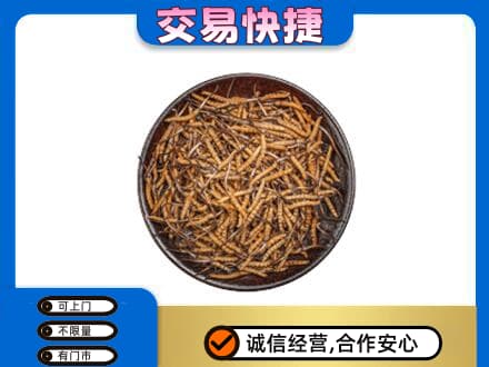 凤凰县回收散虫草